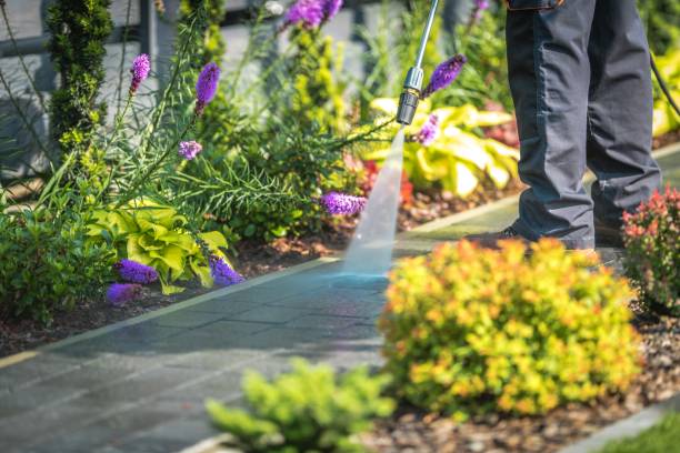 Best Roof Cleaning and Mildew Removal in Flora, MS
