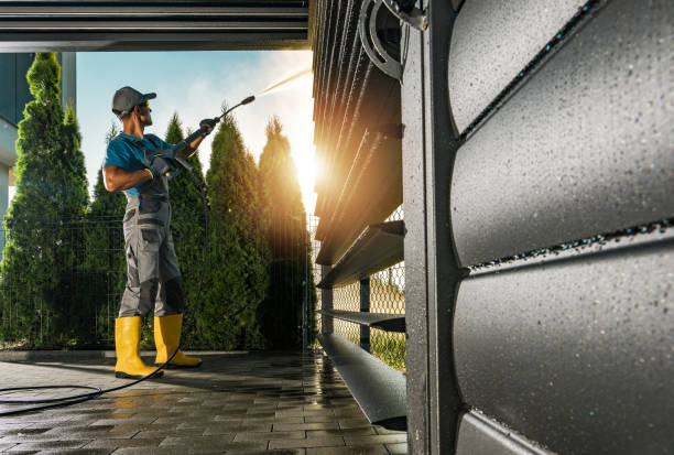 Best Soft Washing for Delicate Surfaces in Flora, MS